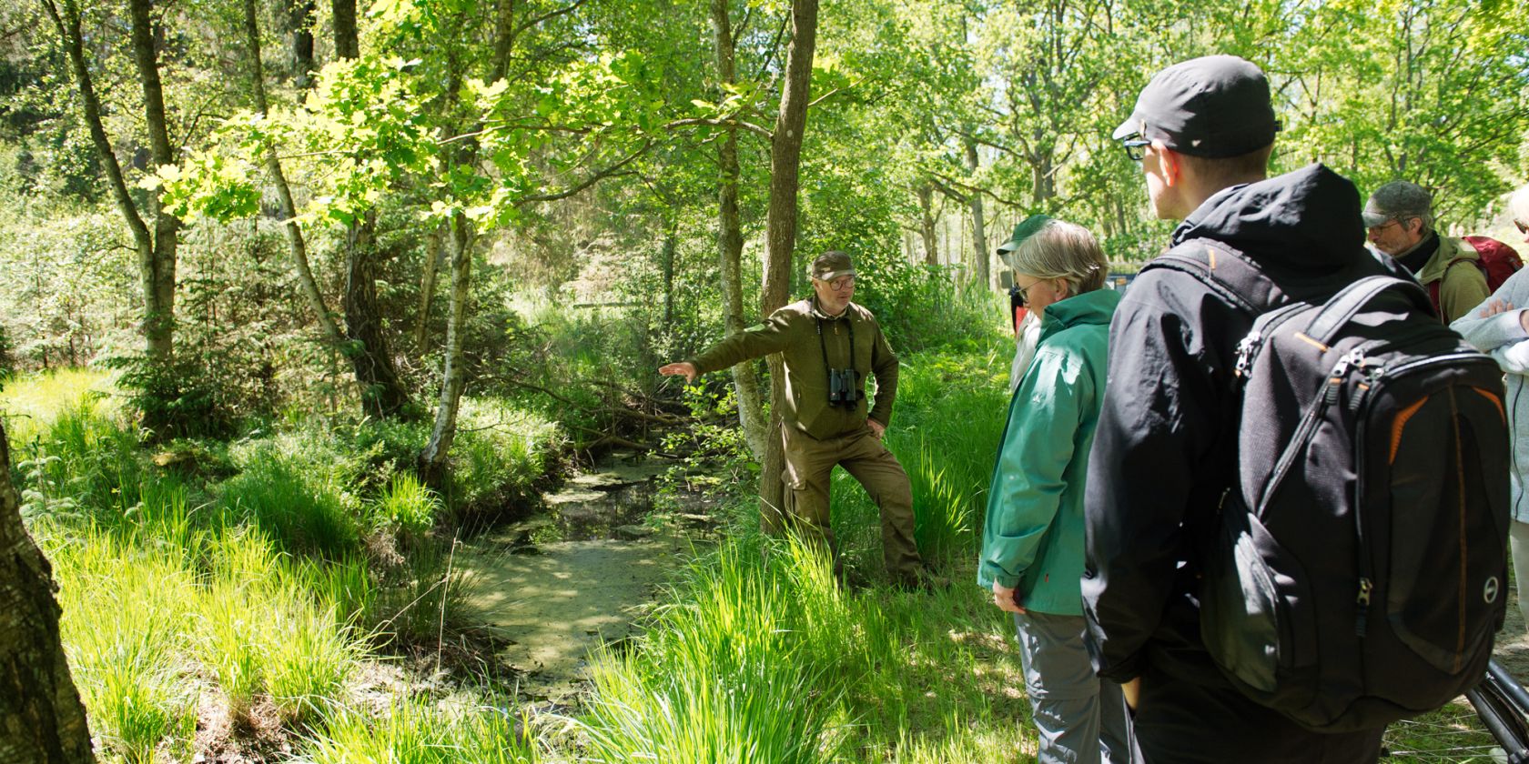 MoorWaldWandel_MTimm_2000, © Nationalparkamt Vorpommern MoorWaldWandel_MTimm_2000, © Nationalparkamt Vorpommern