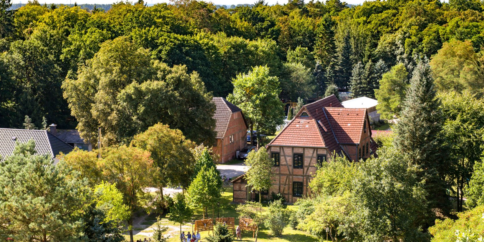rostocker-waldtag_bds5890_c-tzrw-th-ulrich_1920x1080, © TZRW/Th. Ulrich rostocker-waldtag_bds5890_c-tzrw-th-ulrich_1920x1080, © TZRW/Th. Ulrich