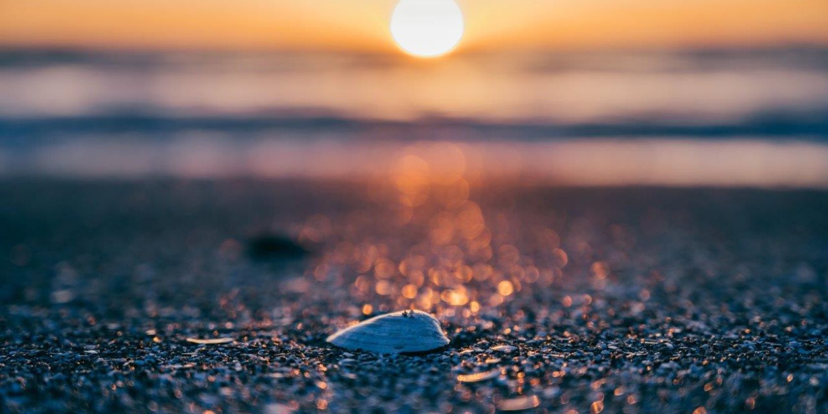 Strandfunde - Kreativwerkstatt am Meer, © Binzer Bucht Tourismus