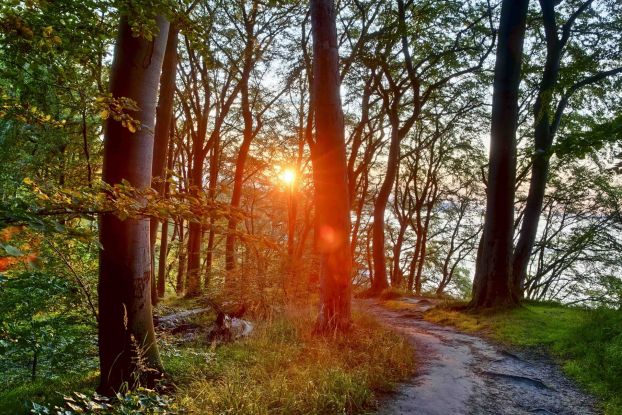 Literarischer Spaziergang (c) Kurverwaltung Goehren Martin Stoever_07-2019_P5I1472_71_70_69_68_HDR projects-2, © Kurverwaltung Goehren / Martin Stoever