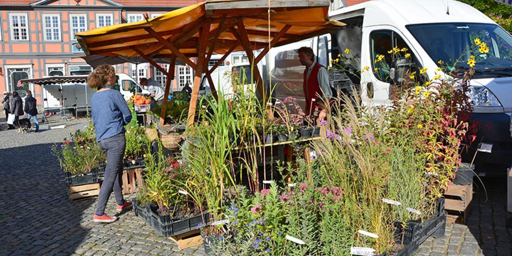 Grüner Markt Waren (Müritz), © Waren (Müritz) Kur- und Tourismus GmbH