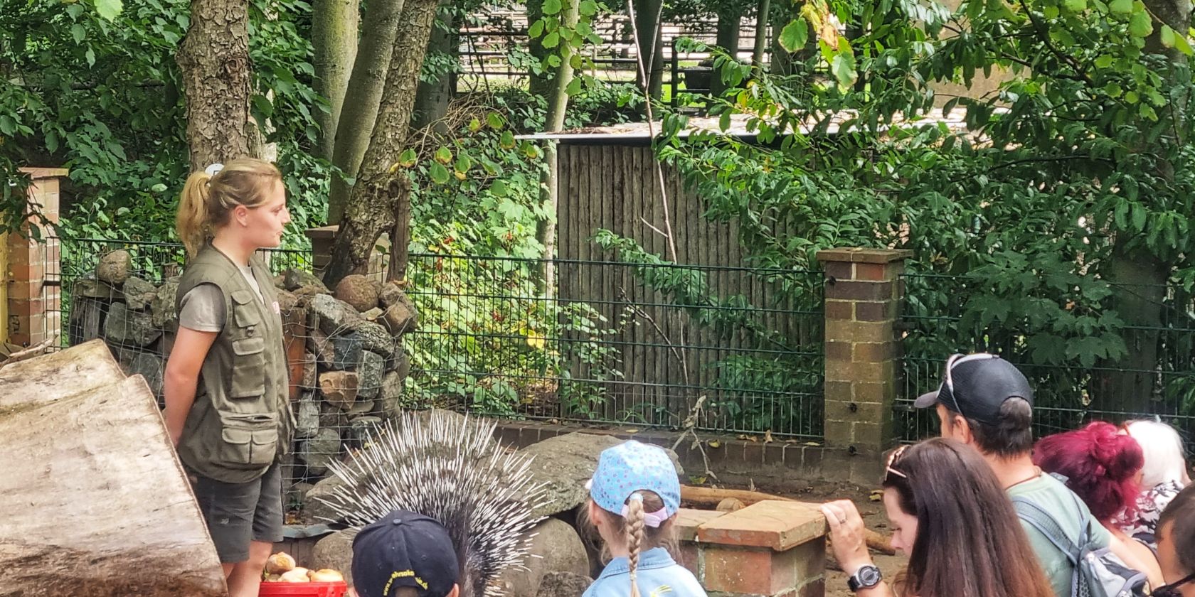 LZT - Zoo Stralsund, © Hansestadt Stralsund