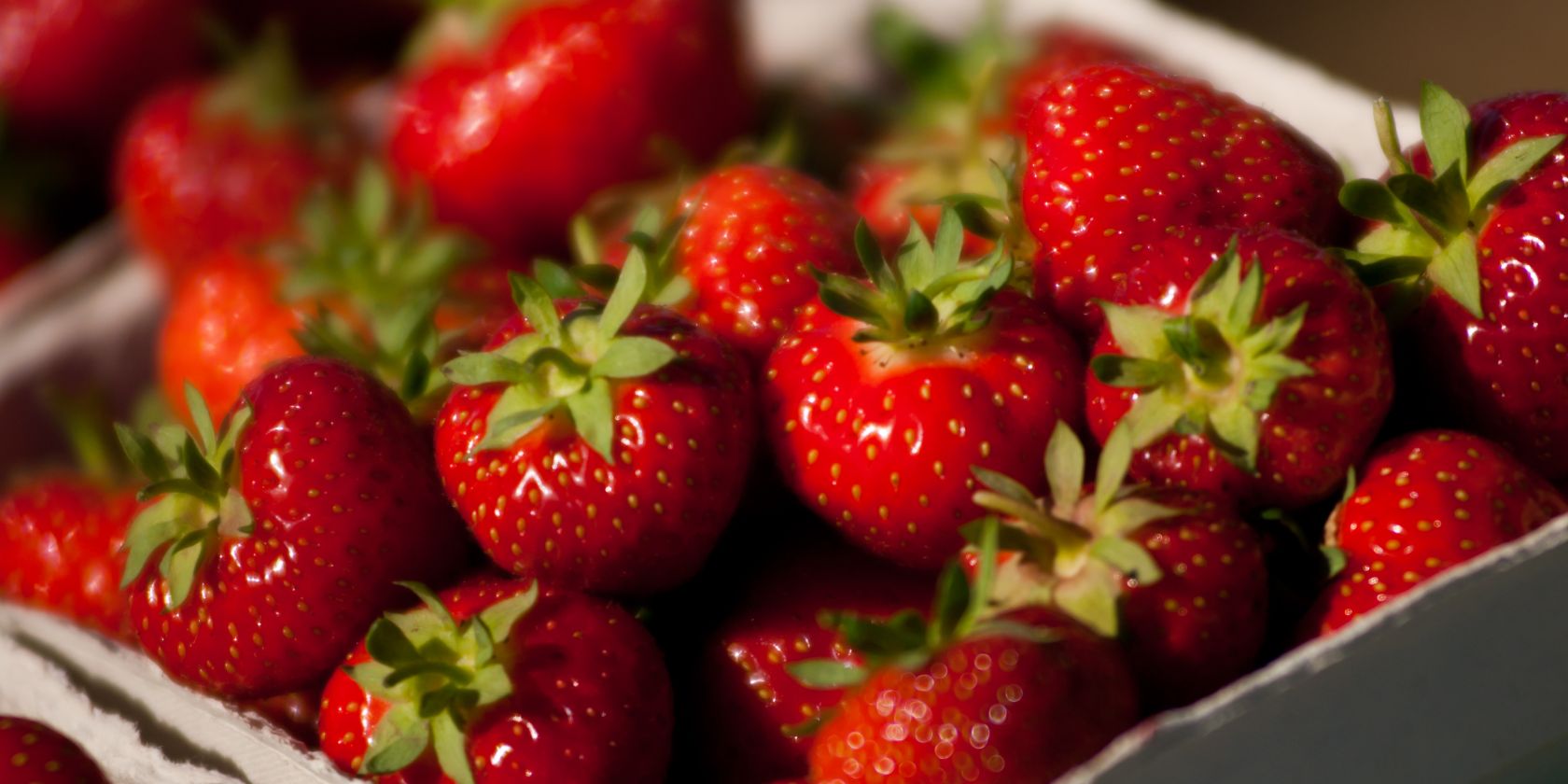 Leckere frische Erdbeeren, © Karls