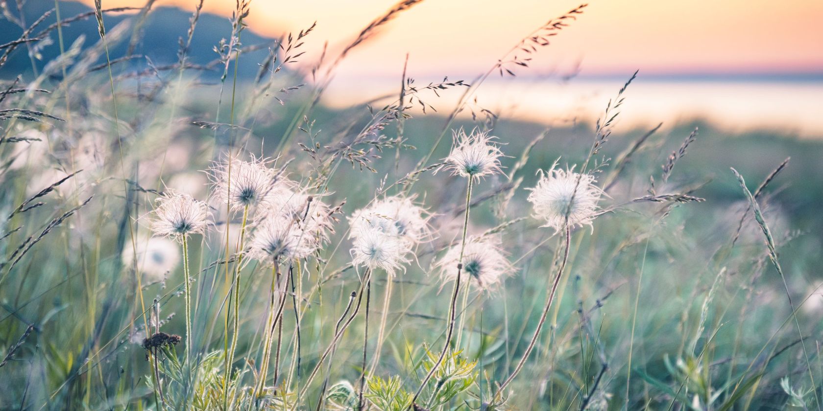 Kuhschellenwanderung