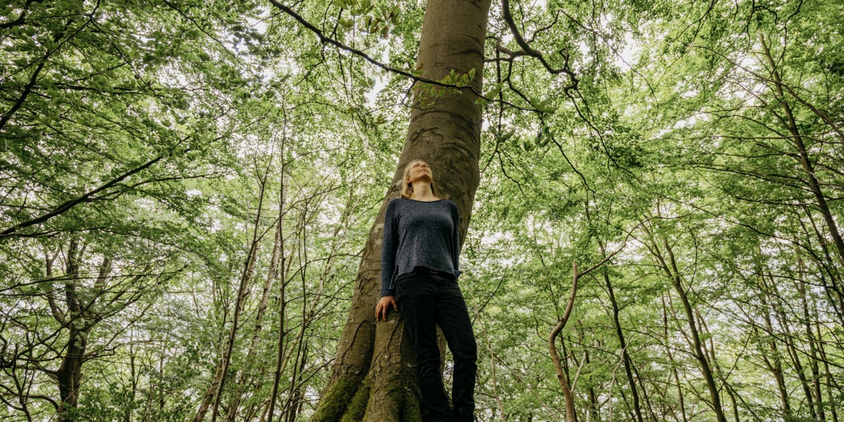 Wanderung: Die Heilkraft des Küstenwaldes, © Binzer Bucht Tourismus