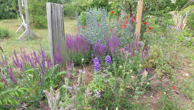 colorful_flowering_herb_garden_2, © Martin Hagemann