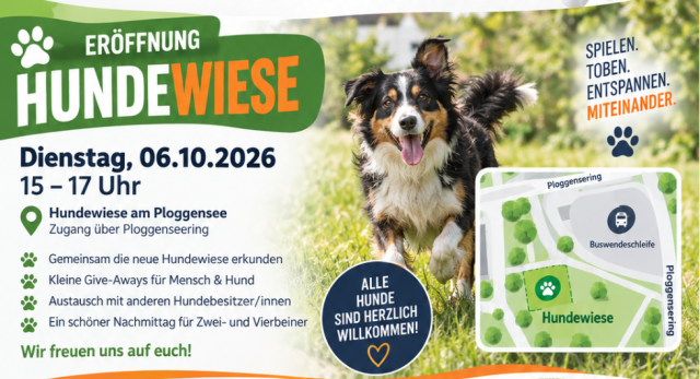 Hundewiese, &copy; QM