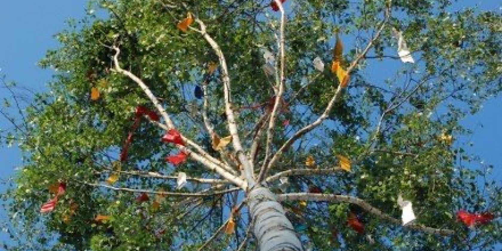 Bild, &copy; Touristik Lohme