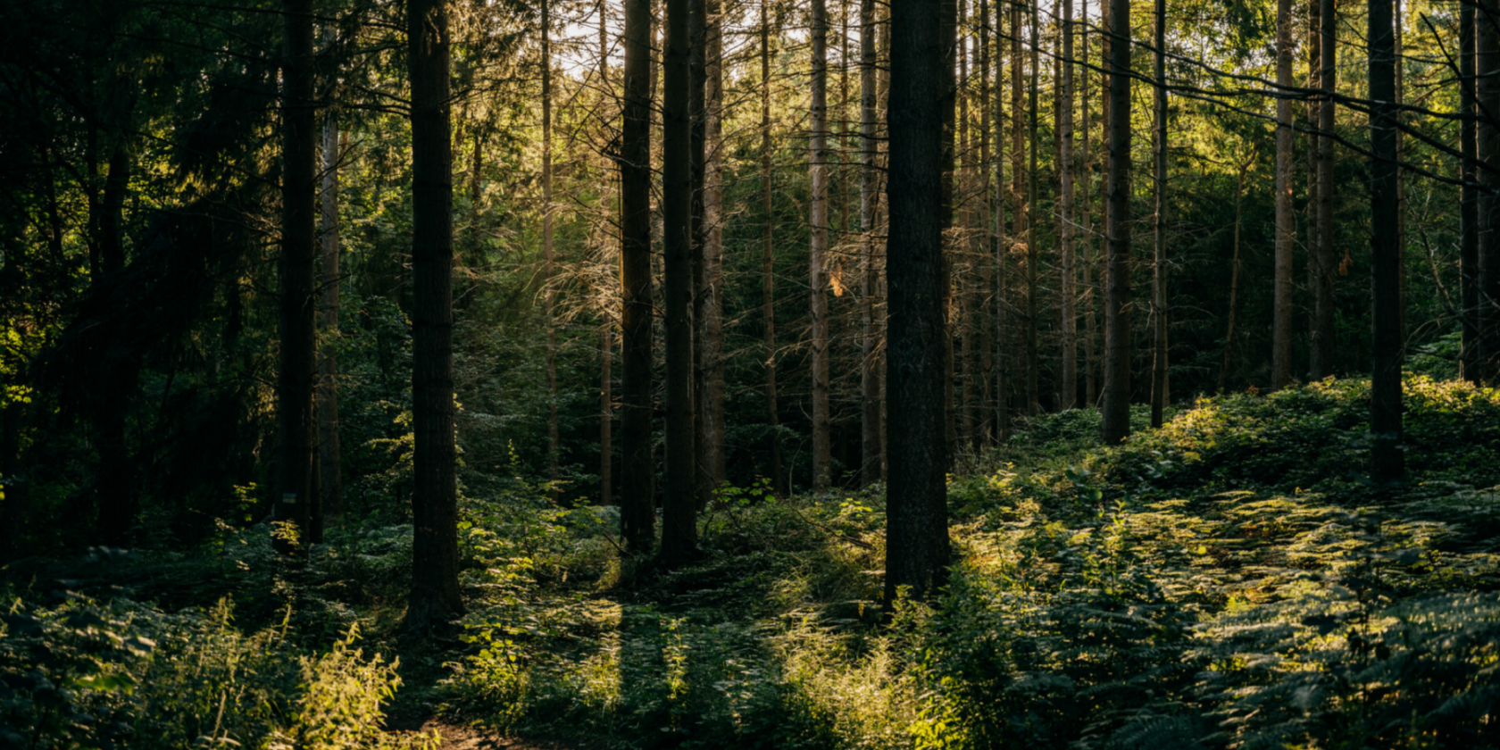 Geocaching &raquo;Pils-Wanderung&laquo;, &copy; Binzer Bucht Tourismus