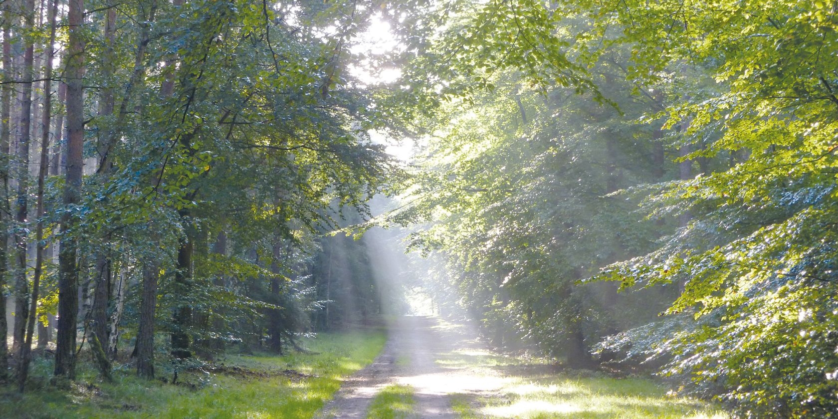 Frühlingserwachen k, © Stadt Ribnitz-Damgarten