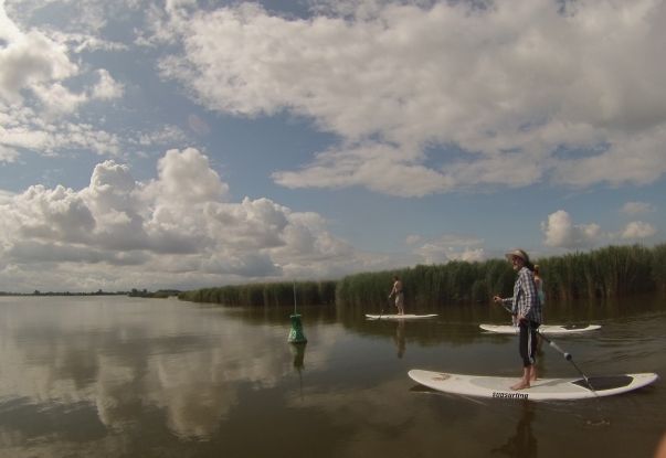 SUP-Tour zu den Neuendorfer Bülten, © Tourismuszentrale Südliche Boddenküste