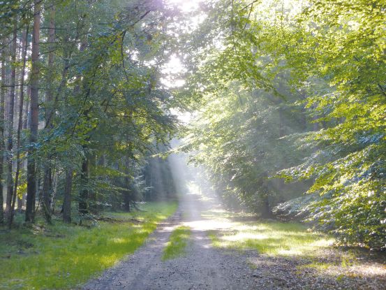 Frühlingserwachen k, © Stadt Ribnitz-Damgarten
