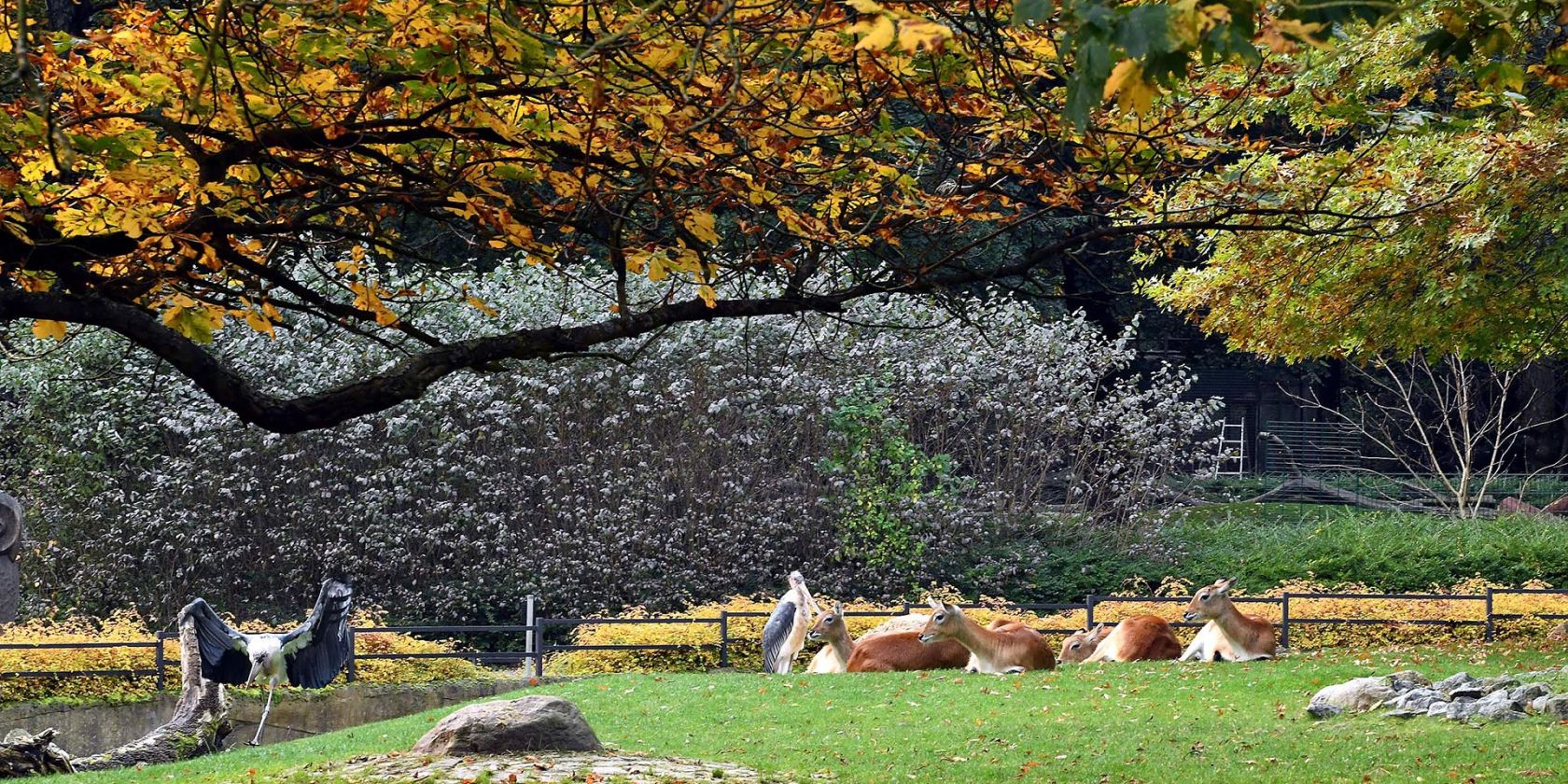 Herbstbasteln_Zoo_Rostock_Kloock, © Zoo Rostock/Kloock