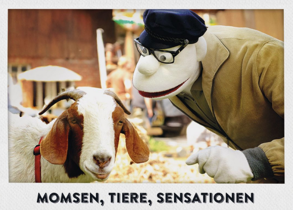 moms, animals, sensations, &copy; DasStudioZwei