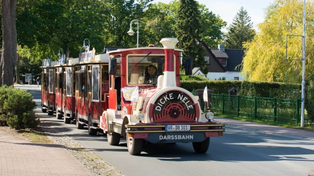 Darssbahn, © Darssbahn