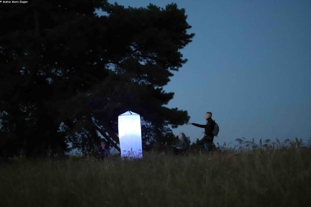 25-08-02 Schmetterlinge der Nacht, GMZ, &copy; Marin-Ziegler