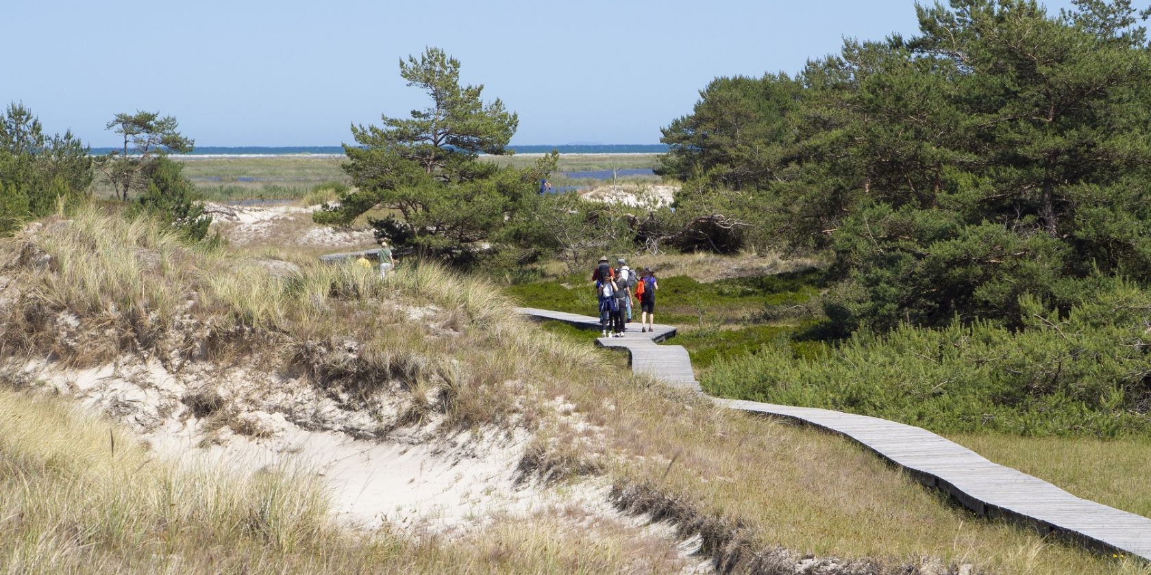 D&uuml;nensand_LSturm_1800, &copy; Nationalparkamt Vorpommern