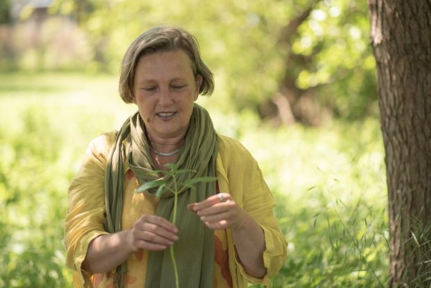 Medicinal plant whispers - open self-healing consultation