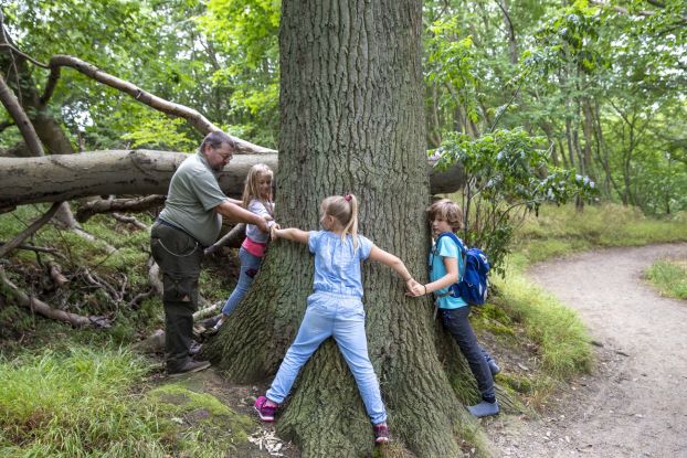 Abenteuer Nordperd für unsere kleinen Gaeste (c) Kurverwaltung Goehren Martin Stoever _07-2019_P5I6440, © Kurverwaltung Goehren / Martin Stoever
