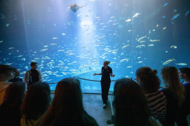OZEANEUM F&uuml;hrung Jugendliche, &copy; Anke Neumeister/Deutsches Meeresmuseum