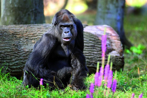 Tropenexpedition_Zoo Rostock_Gohlke, © Zoo Rostock/Gohlke
