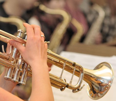 Trumpet concert in the afternoon, © hmt Rostock