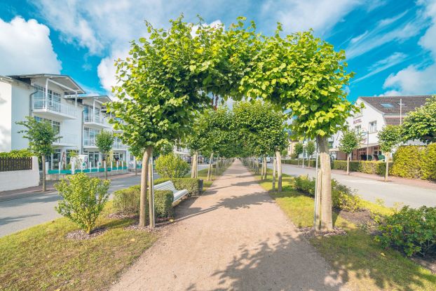 Historische Ortsführung (Neu-Baabe), © Kurverwaltung Ostseebad Baabe