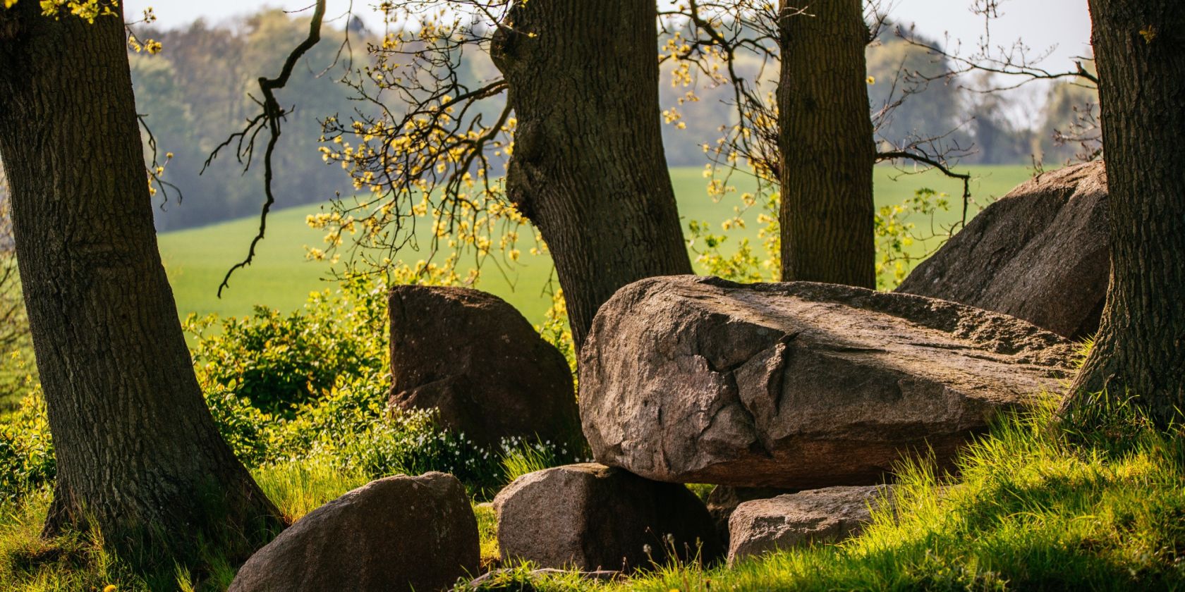 Wanderung: Giganten der Steinzeit - Die Häuser der Toten, © Binzer Bucht Tourismus | Ch. Thiele