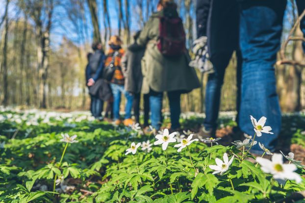 MB303425_wanderfr&uuml;hling, &copy; Kurverwaltung