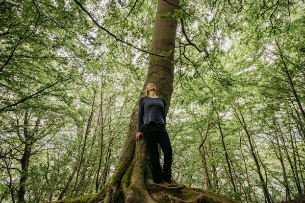 Achtsame Wanderung: Die Heilkraft des Küstenwaldes, © Binzer Bucht Tourismus