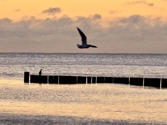 Musik am Meer - Tim Corner, &copy; 1 (2).jpeg