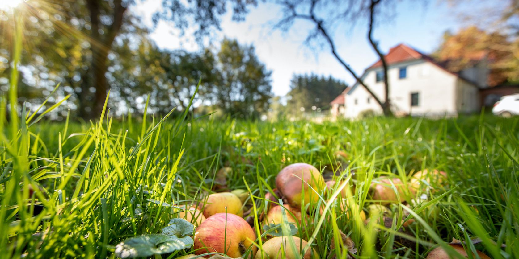 HerrenhausFriedrichshof_Streuobstwiese, &copy; Florian Foest