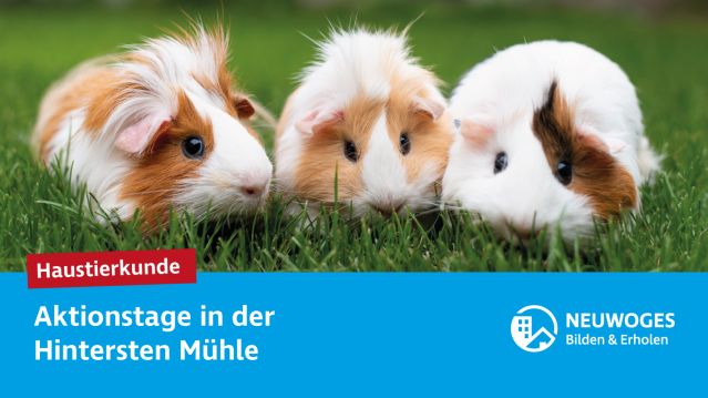 neuw-group_external-come_animal_home_action_days-24-pet_lore, © Neuwoges