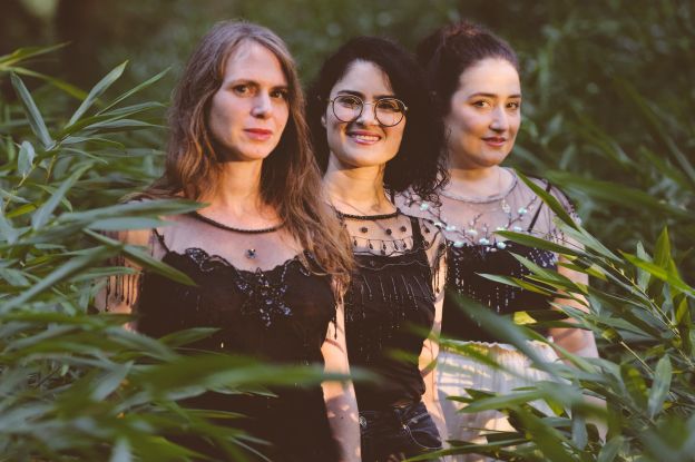 New Year's concert with the Ensemble Bayat, &copy; Ensemble Bayat