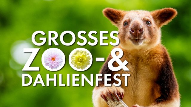 Zoo Rostock_Zoofest_Foto Matthias Dr&uuml;bbisch, &copy; Zoo Rostock/ Dr&uuml;bbisch