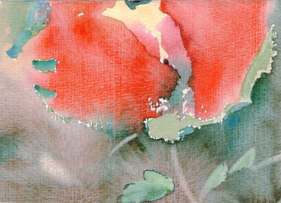 egon arnold, © egon arnold