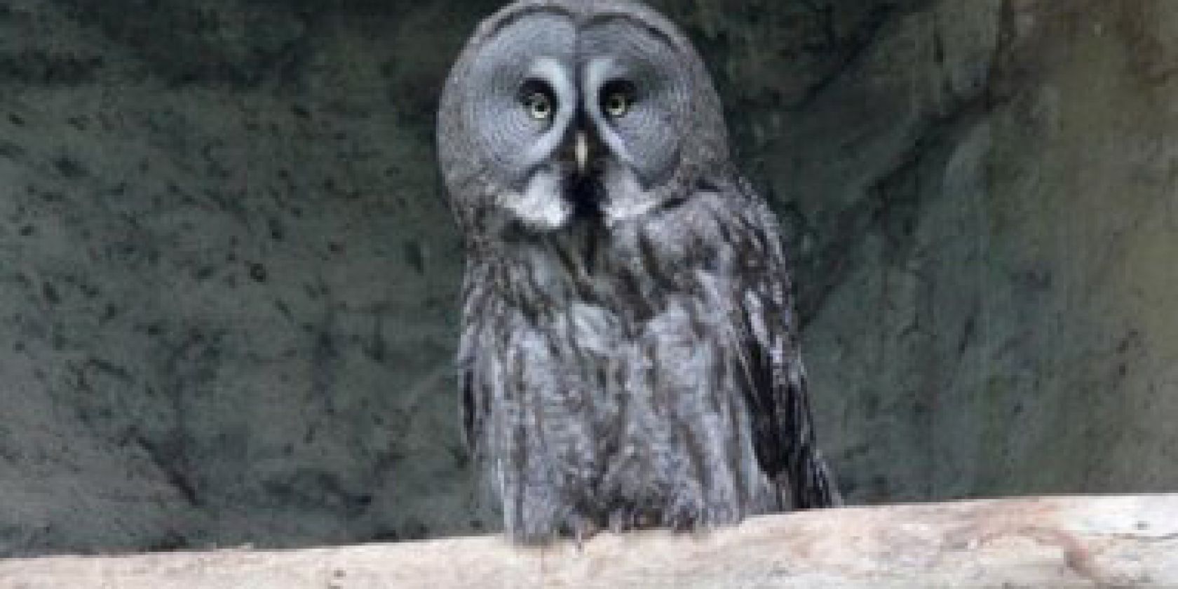 Nachtwächter-Rundgang im Zoo Rostock, © Zoo Rostock/Braun