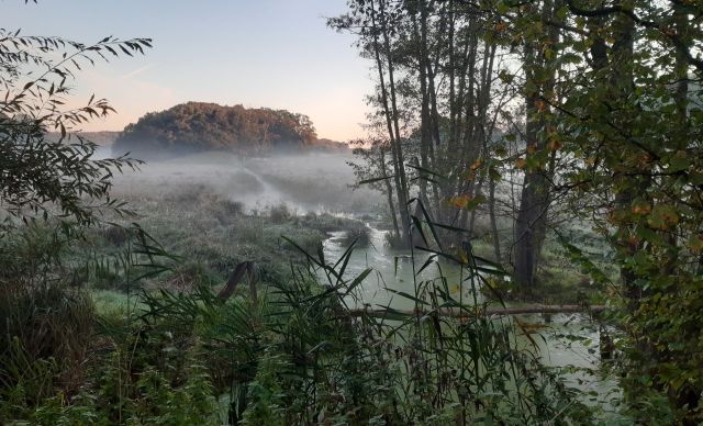 Tour-Impression der Schaalsee-Safari, &copy; Andreas Ermisch