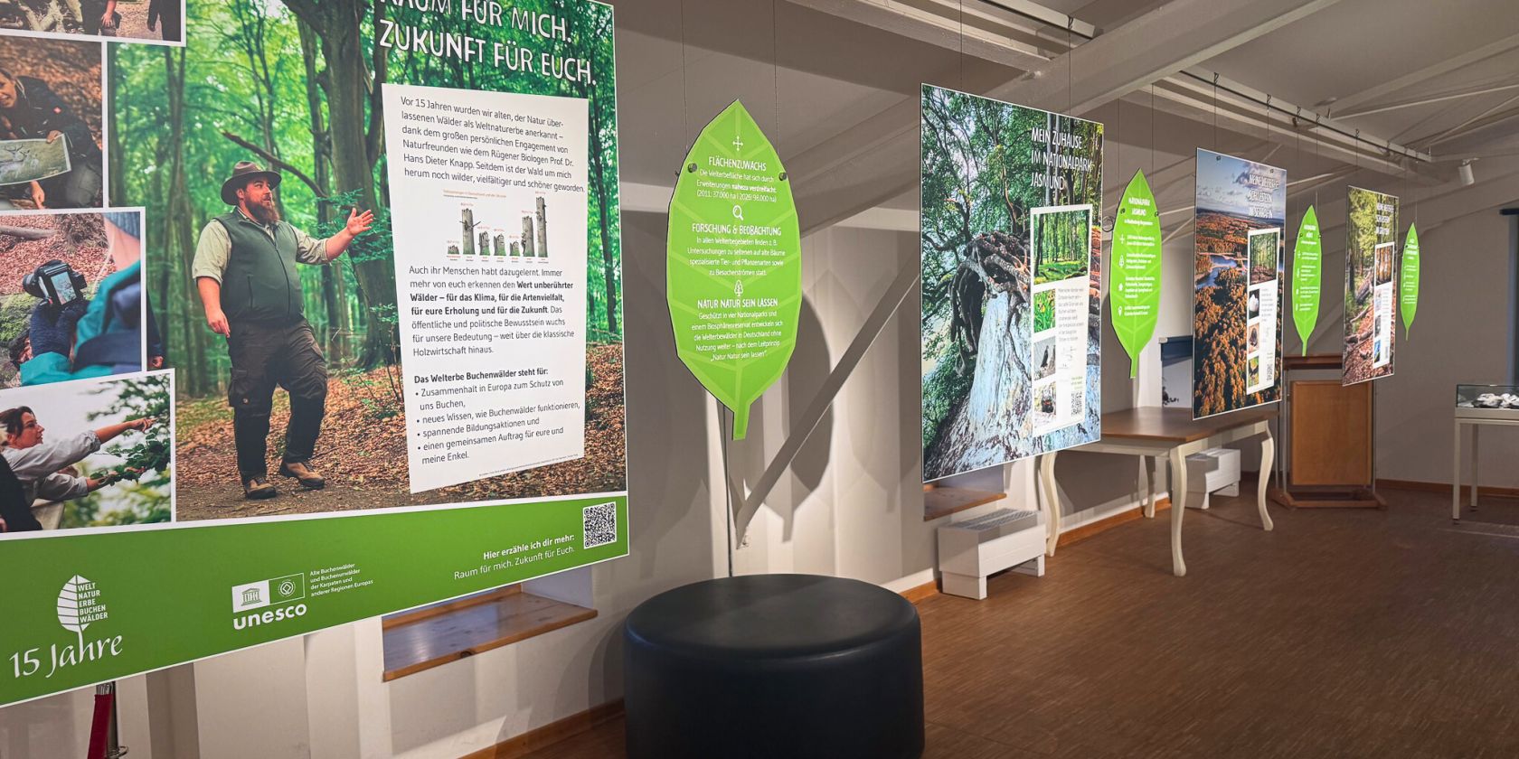 Sonderausstellung, 15 Jahre Alte Buchenw&auml;lder, &copy; Nationalpark-Zentrum K&Ouml;NIGSSTUHL