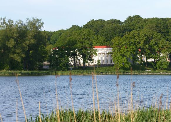 Rangerwanderung durch das Naturschutzgebiet Goor, © Biosphärenreservatsamt Südost-Rügen