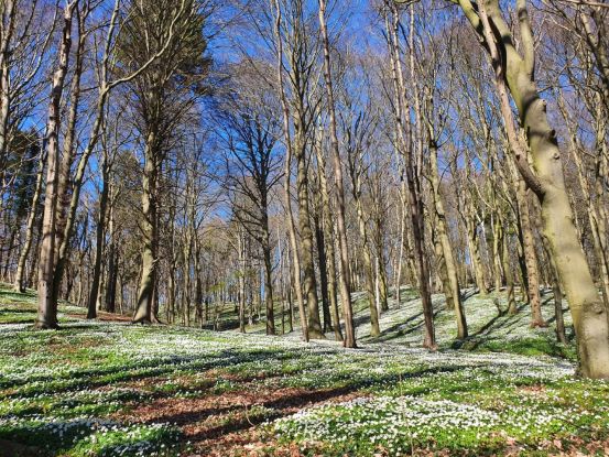 Waldbaden Fruehling (c) Kurverwaltung Göhren, © Kurverwaltung Goehren