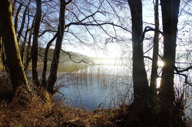 Radtour Naturpark Nossentiner/Schwinzer Heide, &copy; Andreas Breuer