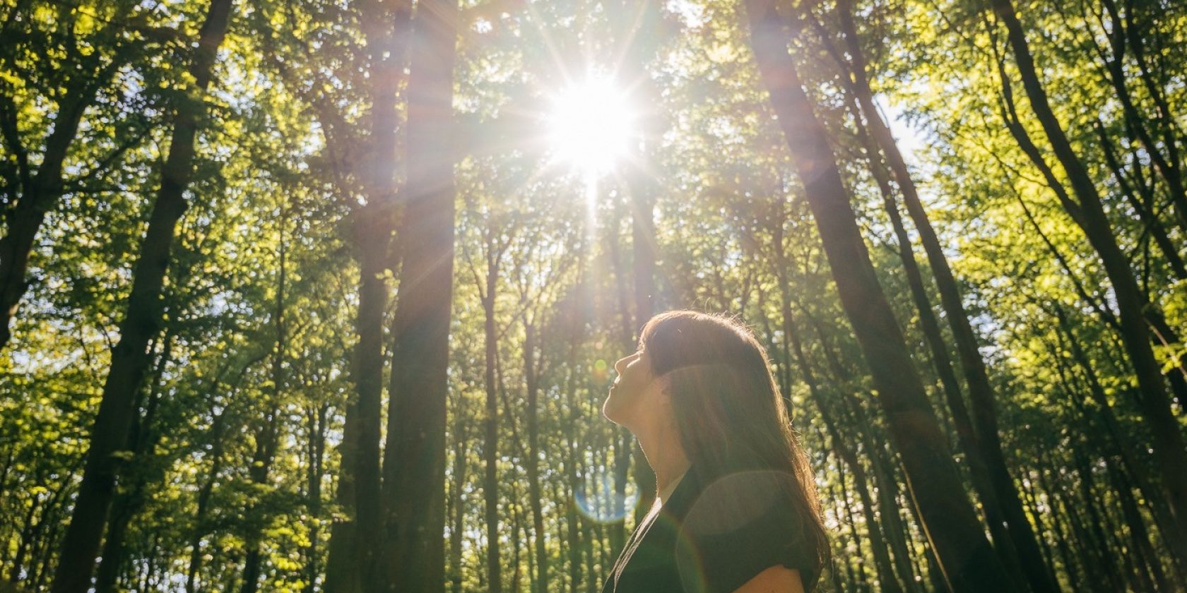 Waldbaden: Shinrin Yoku, © Binzer Bucht Tourismus | Christian Thiele