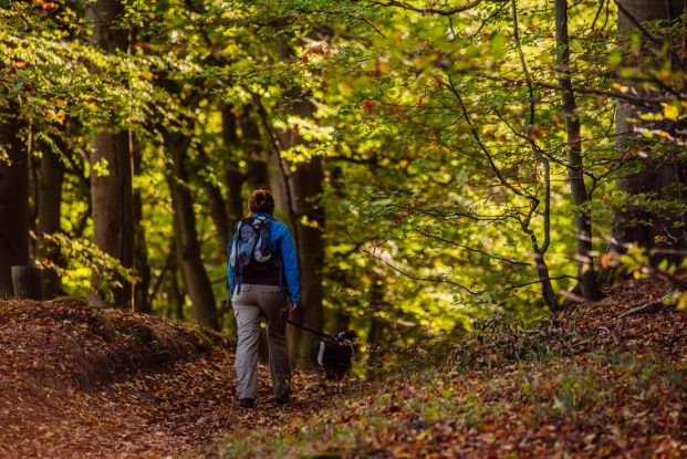 Wanderung: Mit dem Hund unterwegs, © Binzer Bucht Tourismus