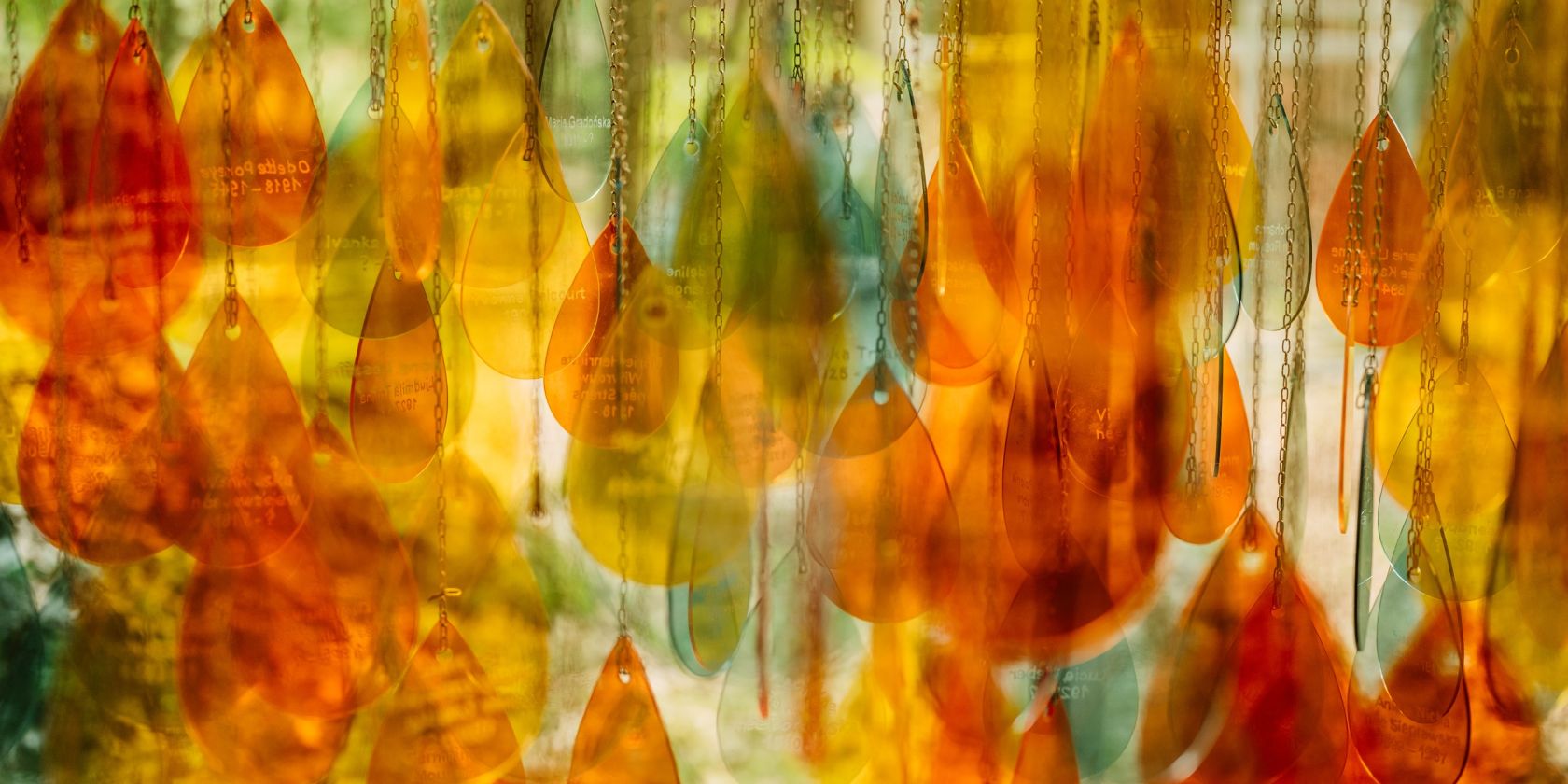 Silviculture, &copy; Christian Thiele