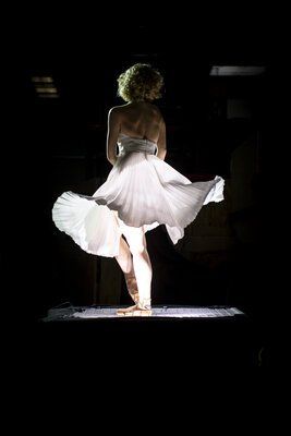 Marilyn, &copy; Peter van Heesen