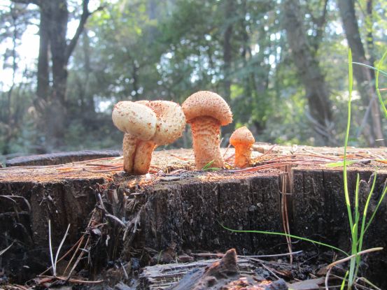 IMG_5817, © © Jana Koch