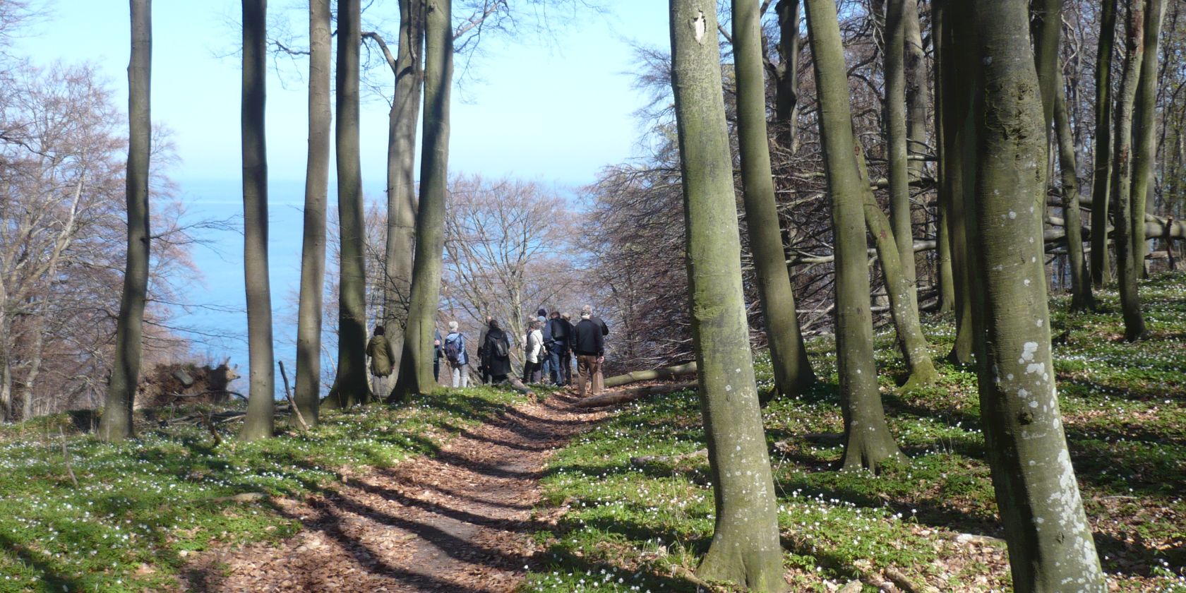 P1060641, &copy; Touristik Lohme