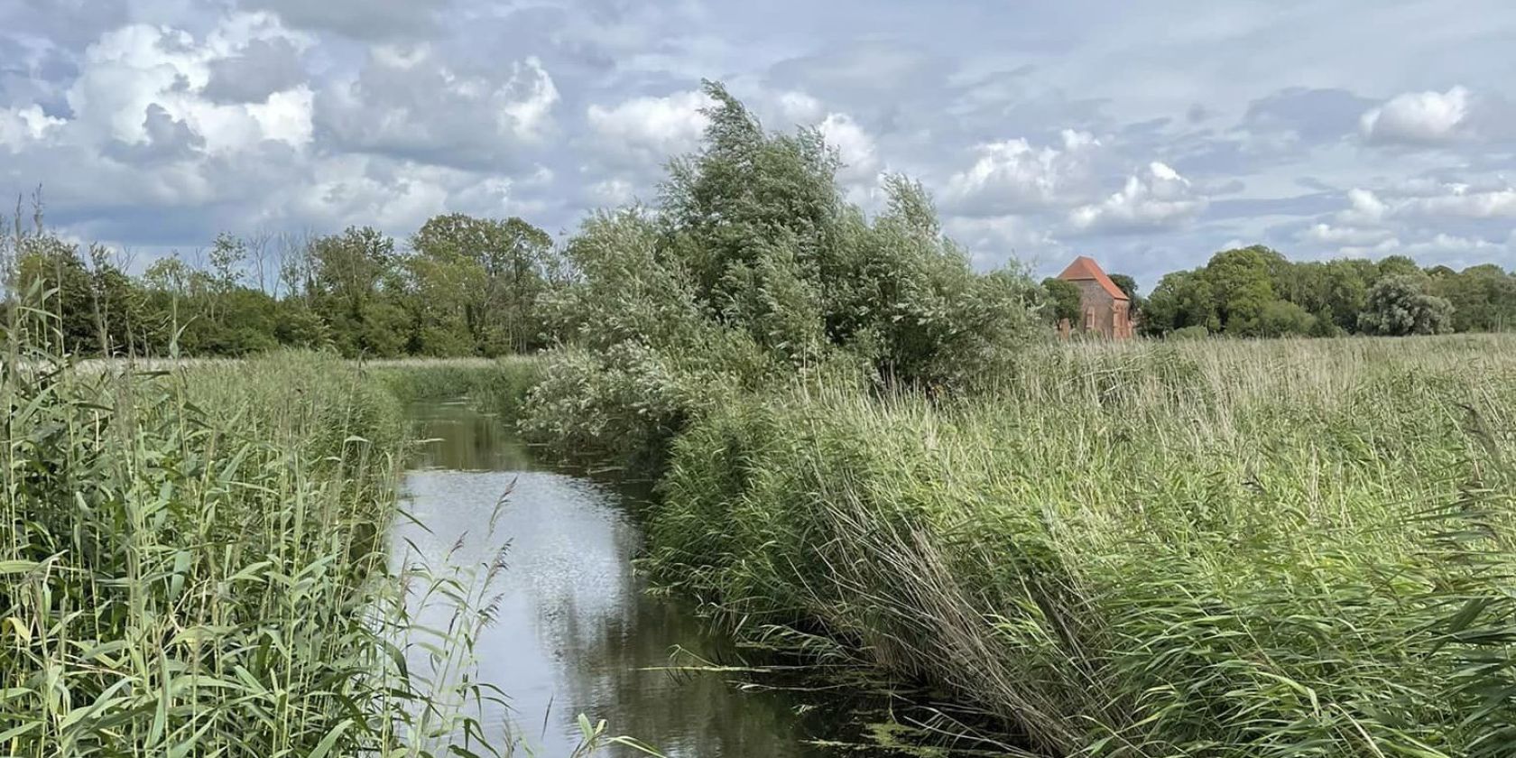 Kräutertour am Saaler Bach, © Tourismuszentrale Südliche Boddenküste