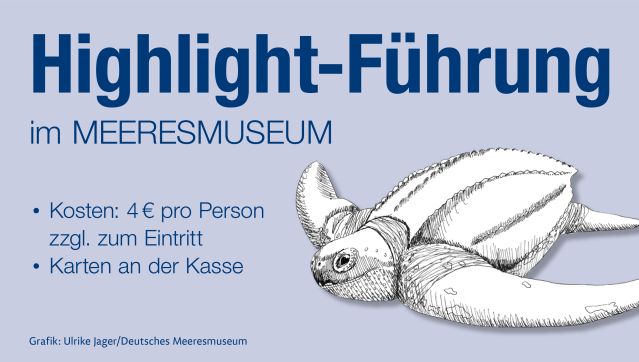 meeresmuseum-teaserild-highlightfuehrung-copyright-ulrike-jager-deutsches-meeresmuseum